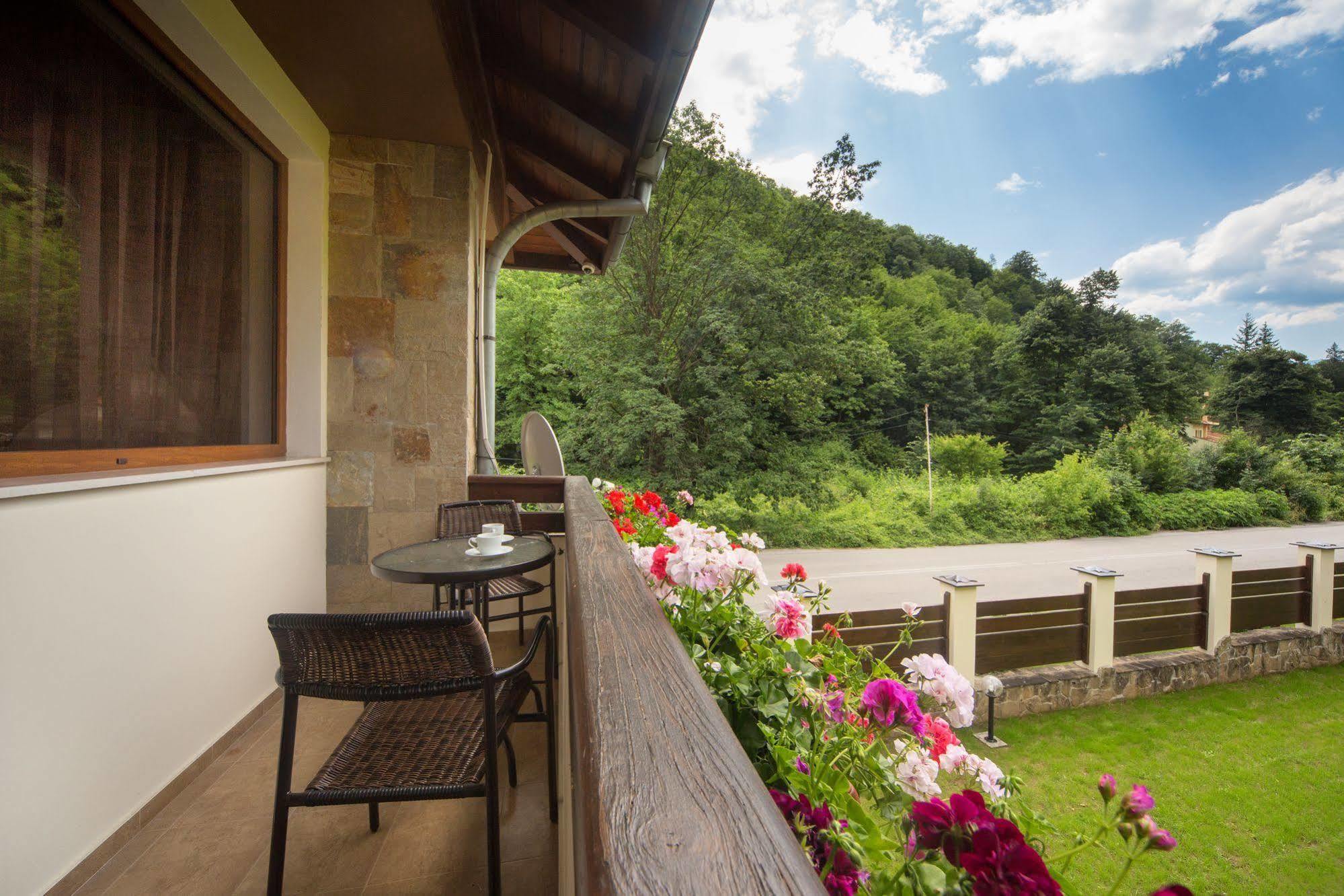 Guest House Vitora Ribaritsa Luaran gambar